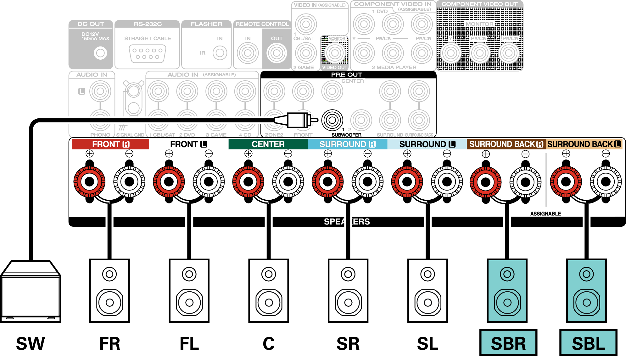 Conne SP 7.1 SB S55U